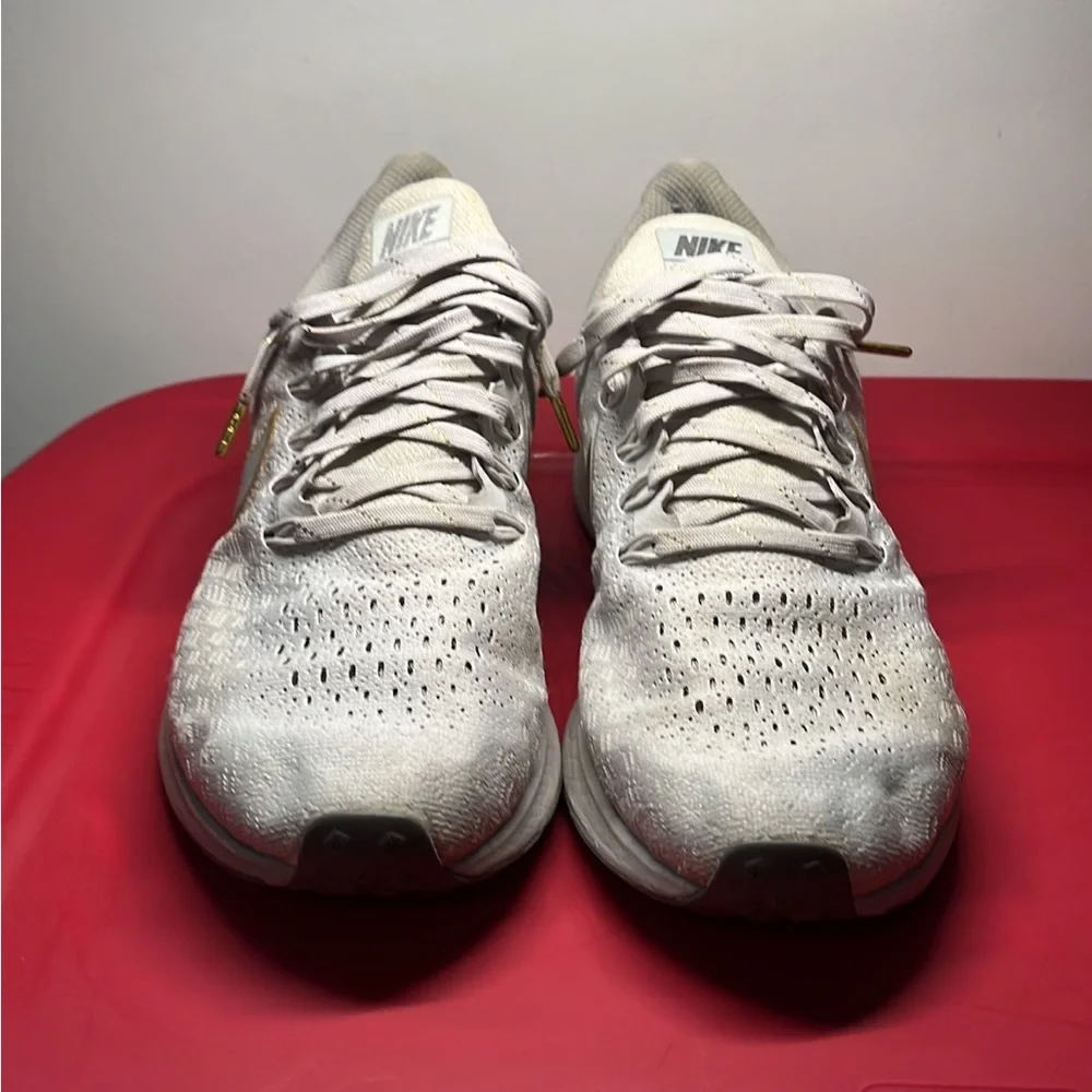 Nike Pegasus 35: Women’s 9